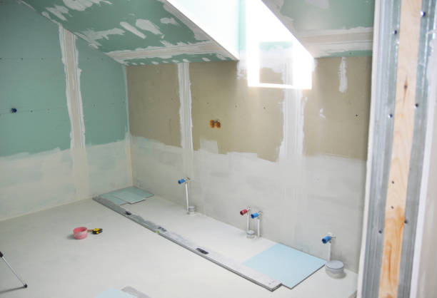 Best Mold Removal for HVAC Installations  in Paynesville, MN