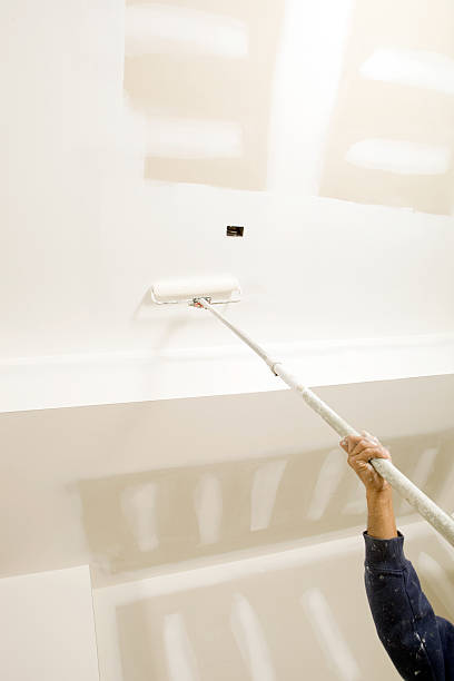 Best Dehumidification Services  in Paynesville, MN