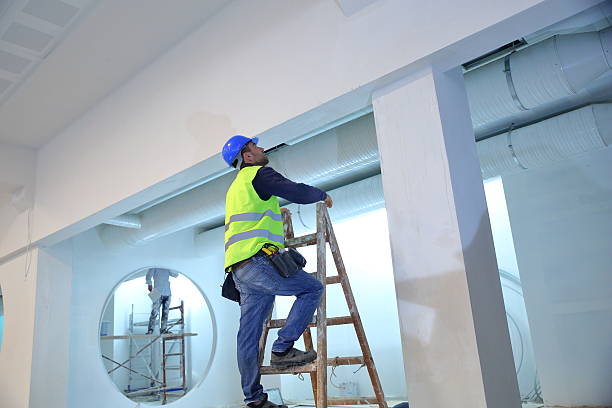Best Residential Mold Inspection & Testing  in Paynesville, MN